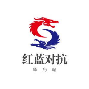 红:DNS fast flux